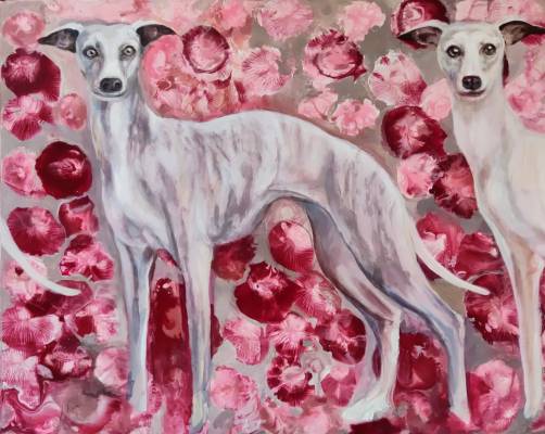 Whippety w zurawinie